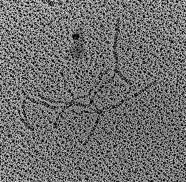 ملف:Ancient DNA.png