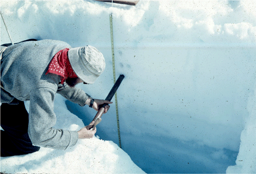 ملف:Taku glacier firn ice sampling.png