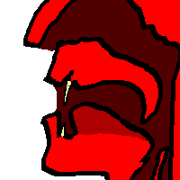 فم ناطق صوت أسناني