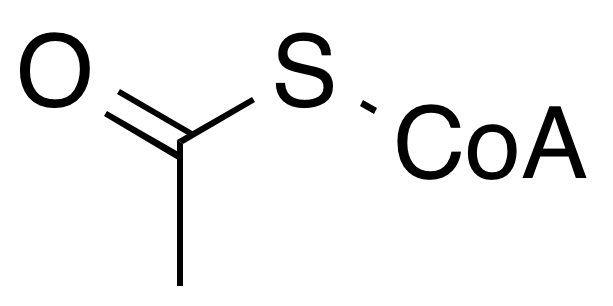 Acetyl co-A wpmp.png