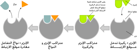 مخطط لتوضيح آلية التلائم المحرض لتفسير الآلية الحركية لعمل الأنزيمات .