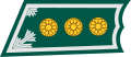 Kapteeni Finnish Defence Force