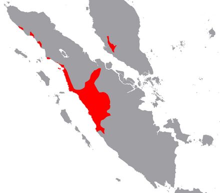 Minangkabau language.jpg
