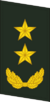 PLAGF-Collar-0719-LTG.png