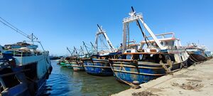 بوغاز بحيرة إدكو