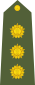Captain of the Indian Army.svg