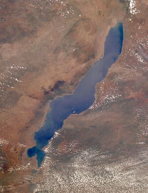 Lake Malawi seen from orbit.jpg