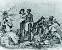 يوبيلي مرجرت واكر.jpg