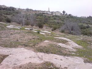 التل والقرية