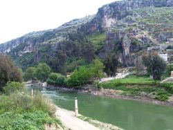 بلدة دركوش، جسر الشغور.