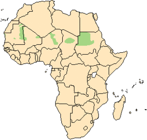 Addax nasomaculatus.gif