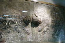 Relief of two lionesses facing each other