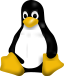 Tux, the Linux mascot