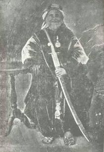 فضل بن علي محسن.jpg