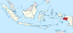    Central Papua in    Indonesia