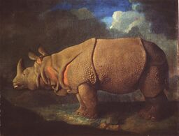 Rhinoceros (ca. 1780–91), oil on canvas, 69.9 x 92.7 cm., private collection