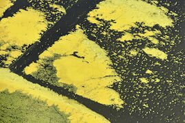 Kiskörei víztározó látképe madártávlatból.jpg