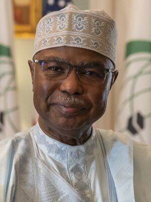 OIC Secretary General Hissein Brahim Taha (52097838057) (cropped).jpg