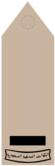 RAIS RUQUBA Shoulder Insigniɐ (Field uniforms).png
