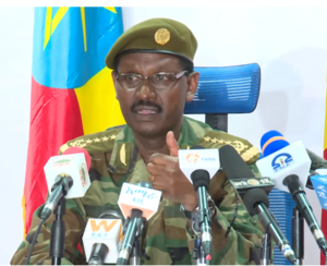 Birhanu Jula Gelalcha.png