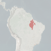 خريطة النطاق