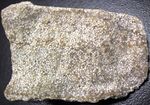 Oolitic limestone (Salem Limestone, Middle Mississippian; southern Indiana, USA) 1.jpg