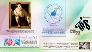 تطبيق المعرفة.JPG