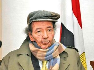 محمد عناني.jpg