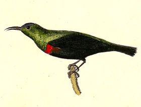 صورة معبرة عن الموضوع تمير لامع