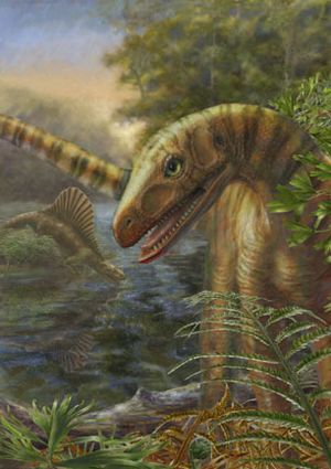 Dinosaur-silesaur.jpg