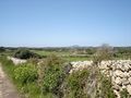 Minorcan countryside