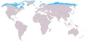 Distribution arctic fox.jpg
