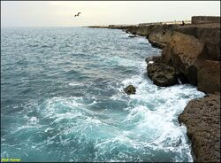 الساحل الصخري لچابهار