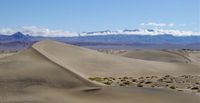 Mesquite Flat Dunes in Death Valley looking toward the Cottonwood Mountains from the north west arm of Star Dune (2003)