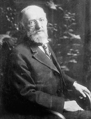 Oscar Solomon Straus, George Grantham Bain Collection, Library of Congress.jpg