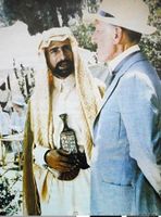 مشهد من الفيلم