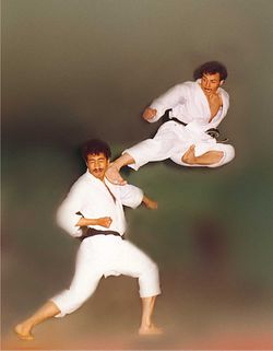 البطل السوري بشير حوا.JPG.JPG.jpg