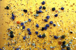 Pollen Phacelia Bees.jpg