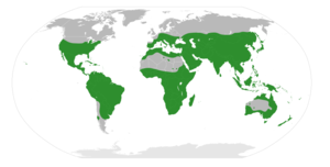 Rutoideae distribution.svg