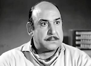 عدلي كاسب.jpg