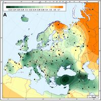 Ancient European Neolithic farmers are genetically closest to modern Near-Eastern/ Anatolian populations: genetic matrilineal distances between European Neolithic Linear Pottery culture populations (5,500–4,900 calibrated BC) and modern Western Eurasian populations.[12]