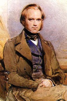 Three quarter length portrait of Darwin aged about 30, with straight brown hair receding from his high forehead and long side-whiskers, smiling quietly, in wide lapelled jacket, waistcoat and high collar with cravat.