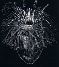 Armoured Pliciloricus enigmaticus, about 0.2 mm long, live in spaces between marine gravel