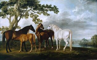Mares and Foals in a Landscape (1763–68), oil on canvas, 102 x 162 cm., Tate Britain