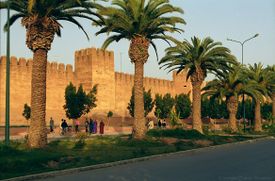 TAROUDANNT defensive wall (js).jpg