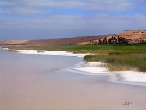 Marshland landscape near the town of Tan-Tan, Morocco.jpg
