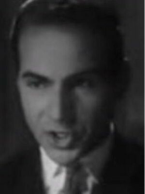 أنور الشناوي.jpg