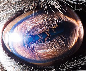 عيون حيوان6.jpg