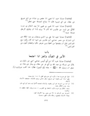 الصفحة التالية &larr;