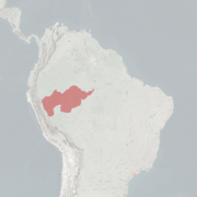 خريطة النطاق